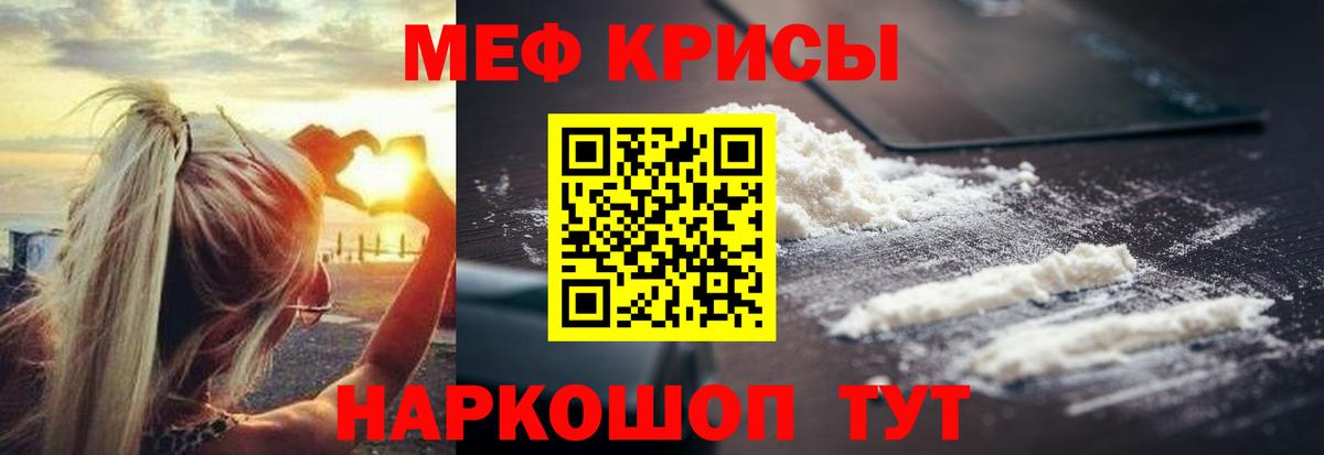 МЕФ  Новозыбков