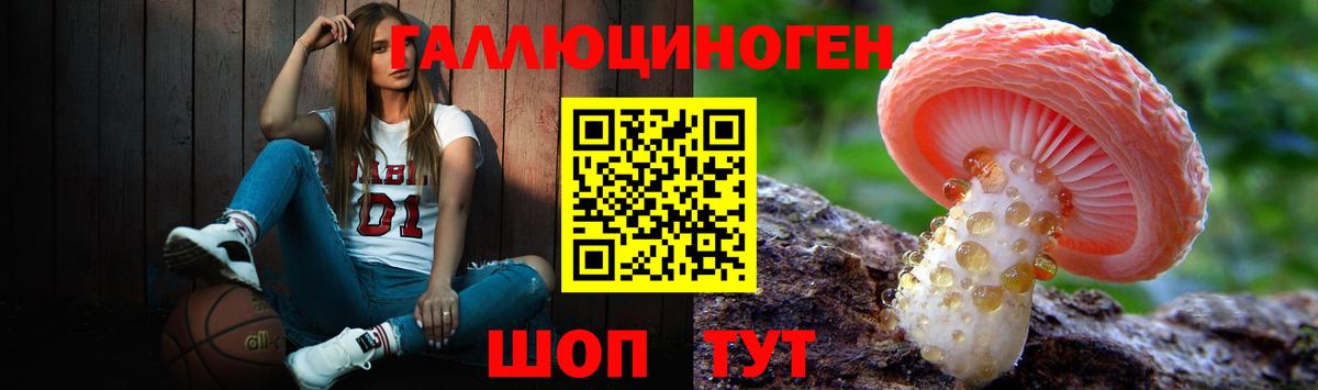 Новозыбков  Галлюциногенные грибы GOLDEN TEACHER  Вход с VPN 